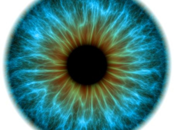 ¿Lila, fuccia, violeta?…La visión de hombres y mujeres no es igual.